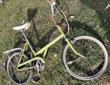 Raleigh Nova as found