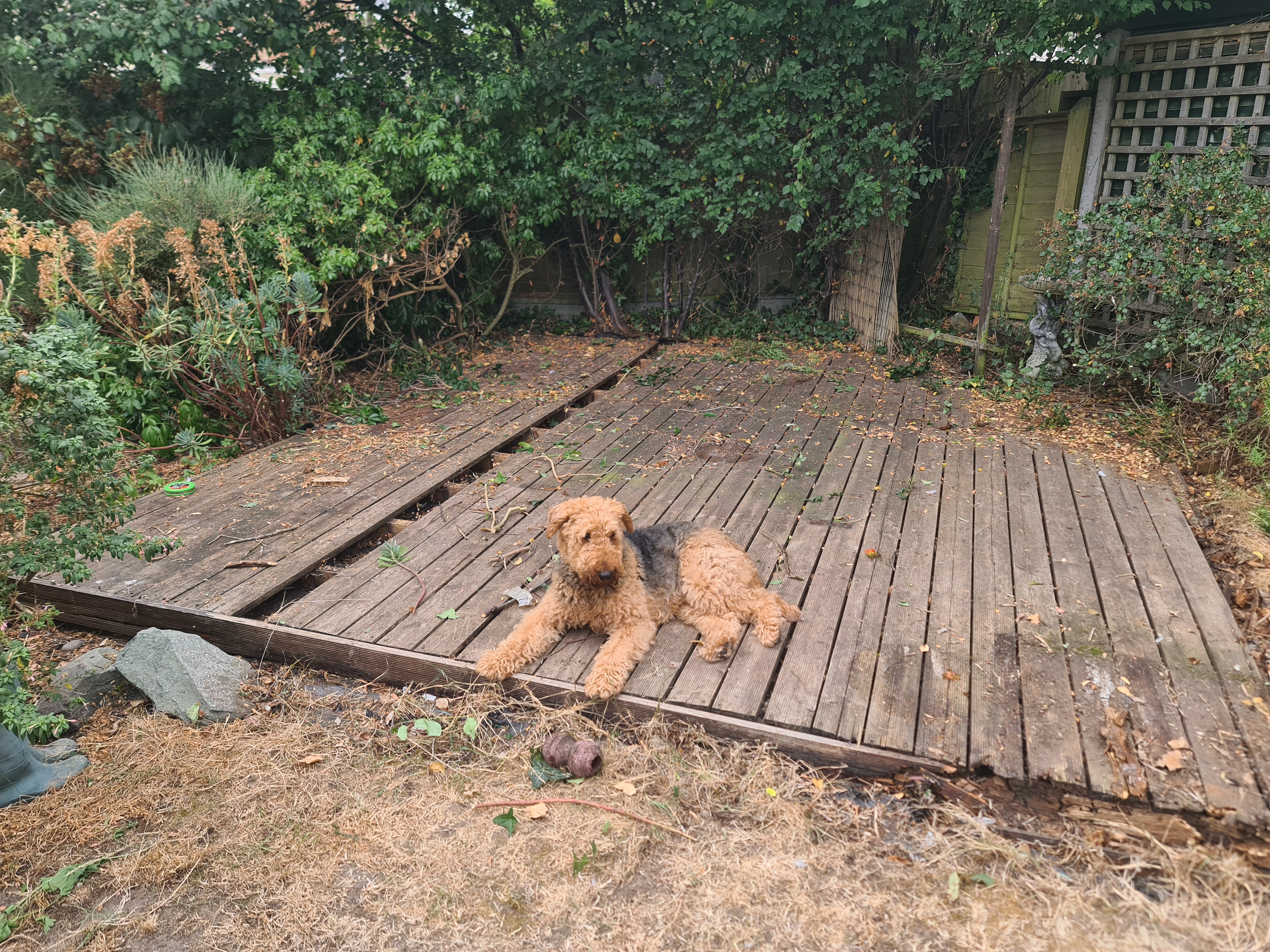 Original garden deck