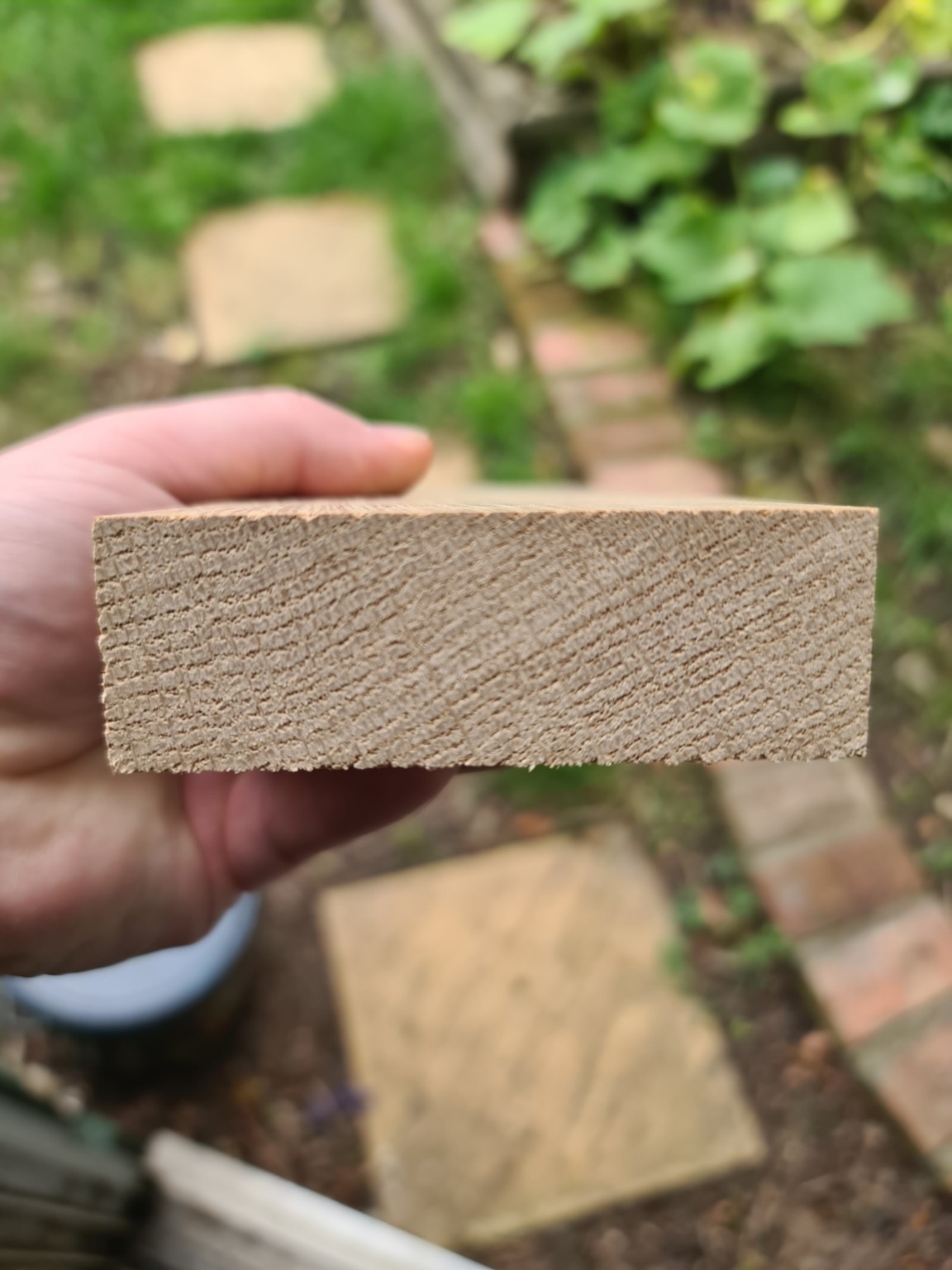 Timber stock close-up